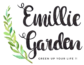Emillie Garden