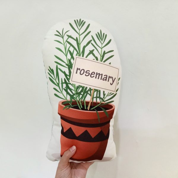 A Rosemary Cushion