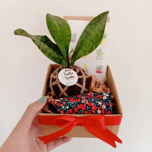 Green Hampers 1
