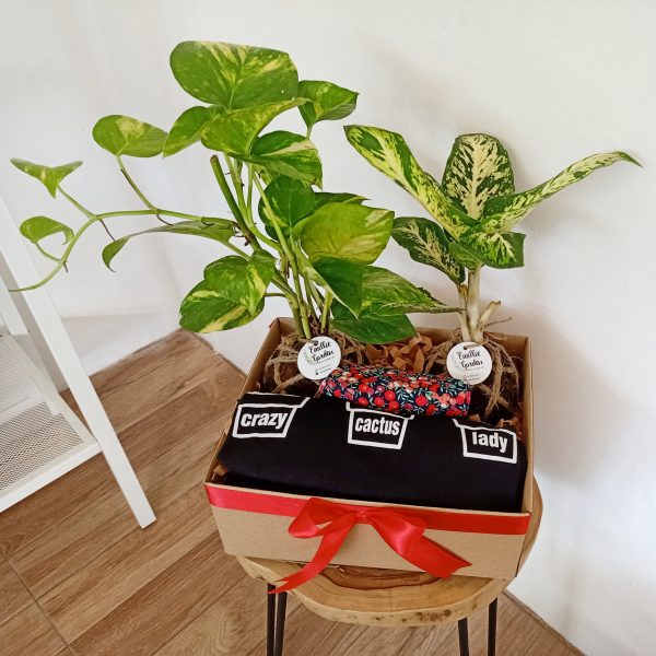 Green Hampers 3