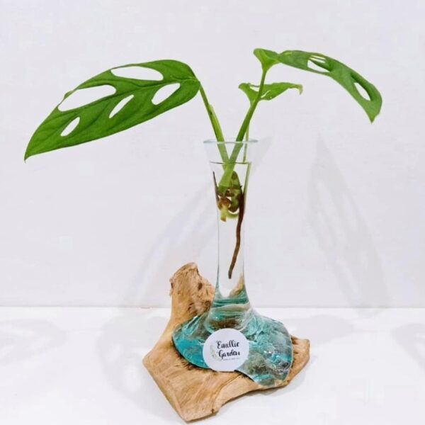 Water Propagation 1
