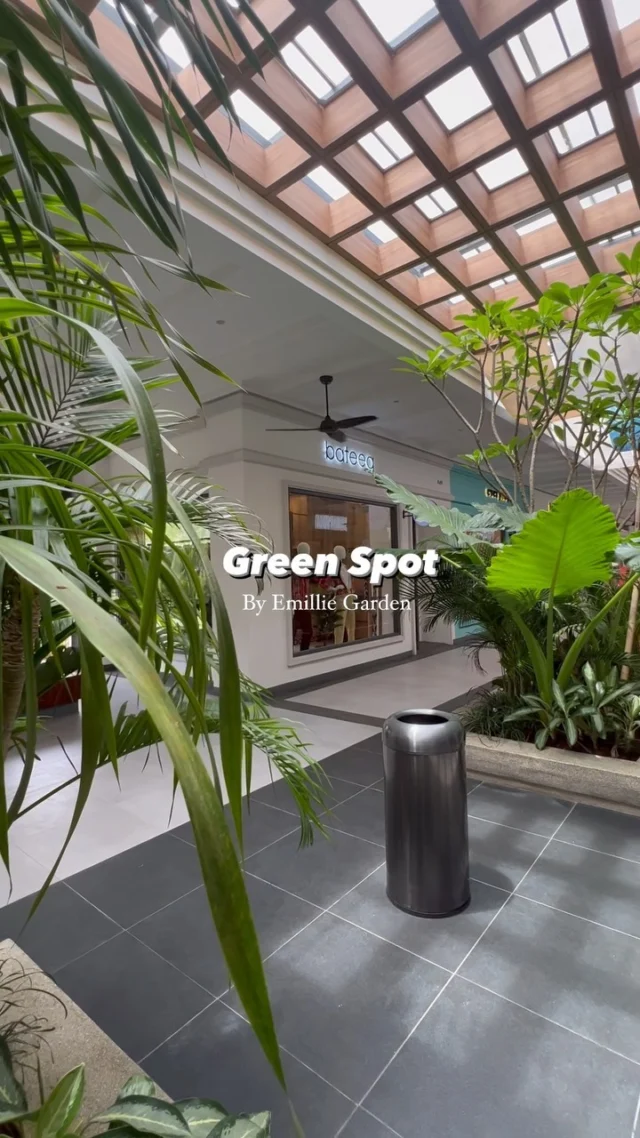 SAVE SAVE, GREEN SPOT

Mau bebelanjaan or window shop
Sambil liat yang seger2x 🌱🌱

Btw Ada yang tau dimana?
Lokasi ada si tag ya,,

Happy Weekend !!

_
#emilliegarden #greenspot #EGgreenspot
#plants #travel #gogreen #outdoorliving 
#landscape #architecture #openspace