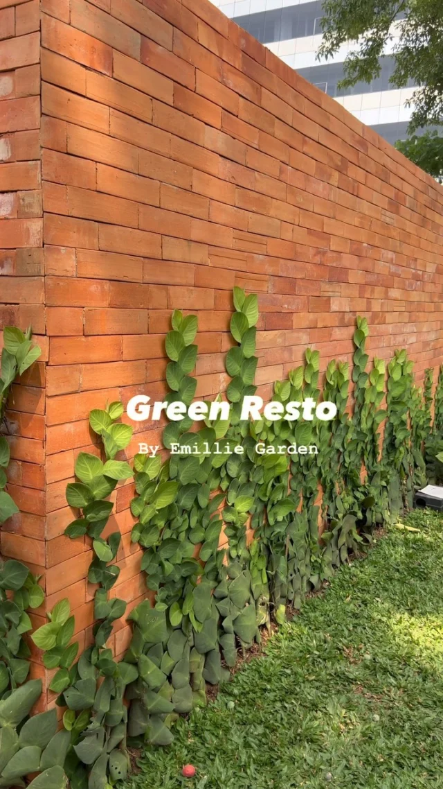 Green Resto 🌿

Ada yg baru di Menteng, bagi yg lg nyari tempat makan bersama keluarga yg banyak spot open space, mungkin ini bs jadi referensi

Open space ✅
Lush Garden ✅
Family resto ✅
Tempat luas ✅
Makanan indo ✅

Lokasi ada diakhir video 😘🍃

#EmillieGarden 
#GreenStoriesEG
#GreenSpotEG 
#GreenRestoEG
#MainKeTamanEG
#Menteng 

#jakarta #restorankeluarga #familyrestaurant #openspace #lushgarden #garden #landscape #spotjakarta #cafehopping