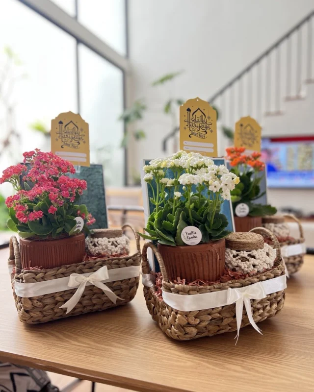 Green Hampers, Bloom !!

It’s not how much we gift, but how much love we put into giving ❤️

Custom your special hampers, Just DM for more info 😊

_
#EmillieGarden #Plants #flower #hampers #hampersJakarta #beautiful #EGGreenProduct